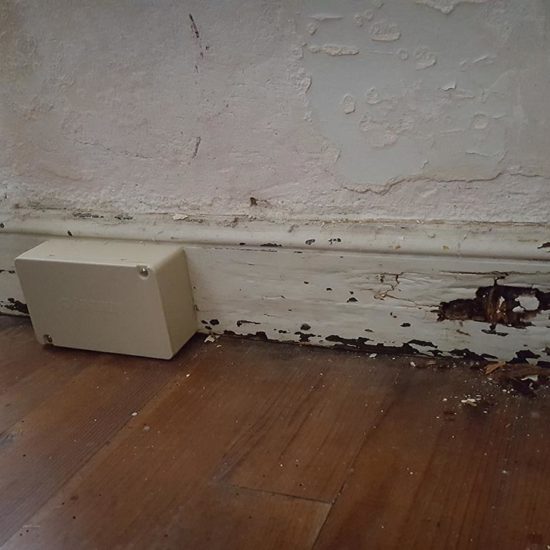 Traitement des termites dans une maison de Larressore au Pays Basque