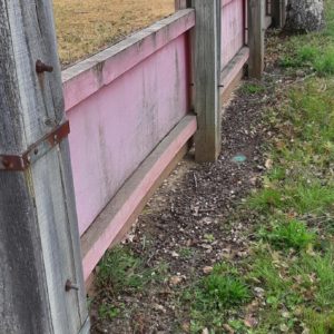 Traitement anti-termites par pièges à Bascons dans les Landes