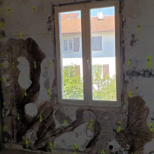 Traitement au Pays Basque des murs contre la mérule champignon lignivore