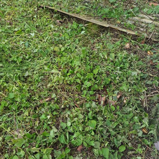 Traitement des termites par installation de pièges Sentritech à Saint Pée sur Nivelle au Pays basque
