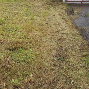 Traitement des termites par installation de pièges Sentritech à Saint Pée sur Nivelle au Pays basque