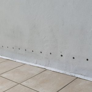 detec-bois société de traitement des remontées capillaires d'humidité dans les murs au pays basque