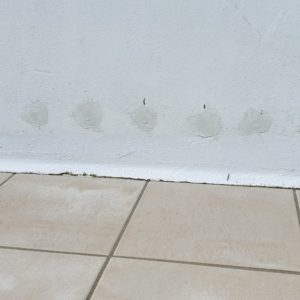 detec-bois société de traitement des remontées capillaires d'humidité dans les murs au pays basque