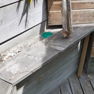 detec-bois société de traitement contre les termites dans les Landes à hossegor