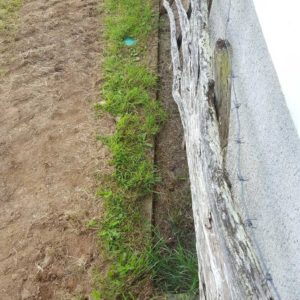 detec bois société de traitement des termites intervient à Mendionde au Pays basque