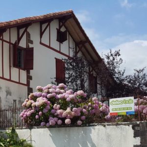 detec bois société de traitement des termites intervient à Mendionde au Pays basque