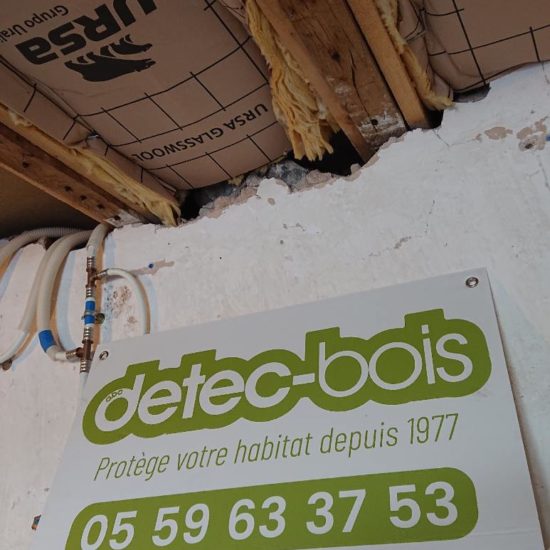 detec bois réalise le traitement contre les vrillettes et les capricornes de solives en bois à hasparren au pays basque