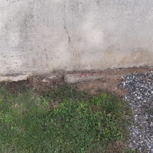 detec-bois traitement anti-termites par pèges à Poyartin dans les Landes