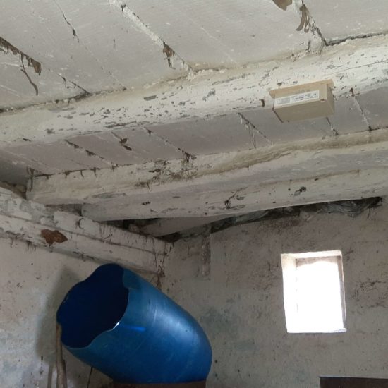 detec-bois réalise le traitement des termites par pièges dans les Landes