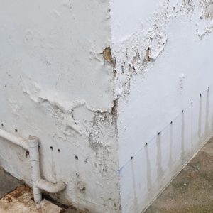 detec bois réalise le traitement des murs contre l'humidité dans une maison de Bayonne au Pays basque