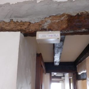 detec-bois traitement anti termites à Bonloc au Pays basque